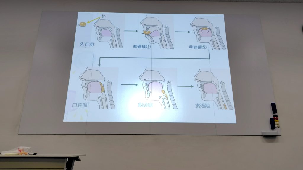 さくらクリニック勉強会251024 3摂食嚥下5期