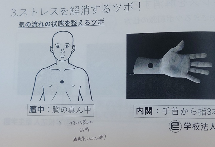 【勉強会参加報告】「東洋医学健康講座」に参加いたしました
