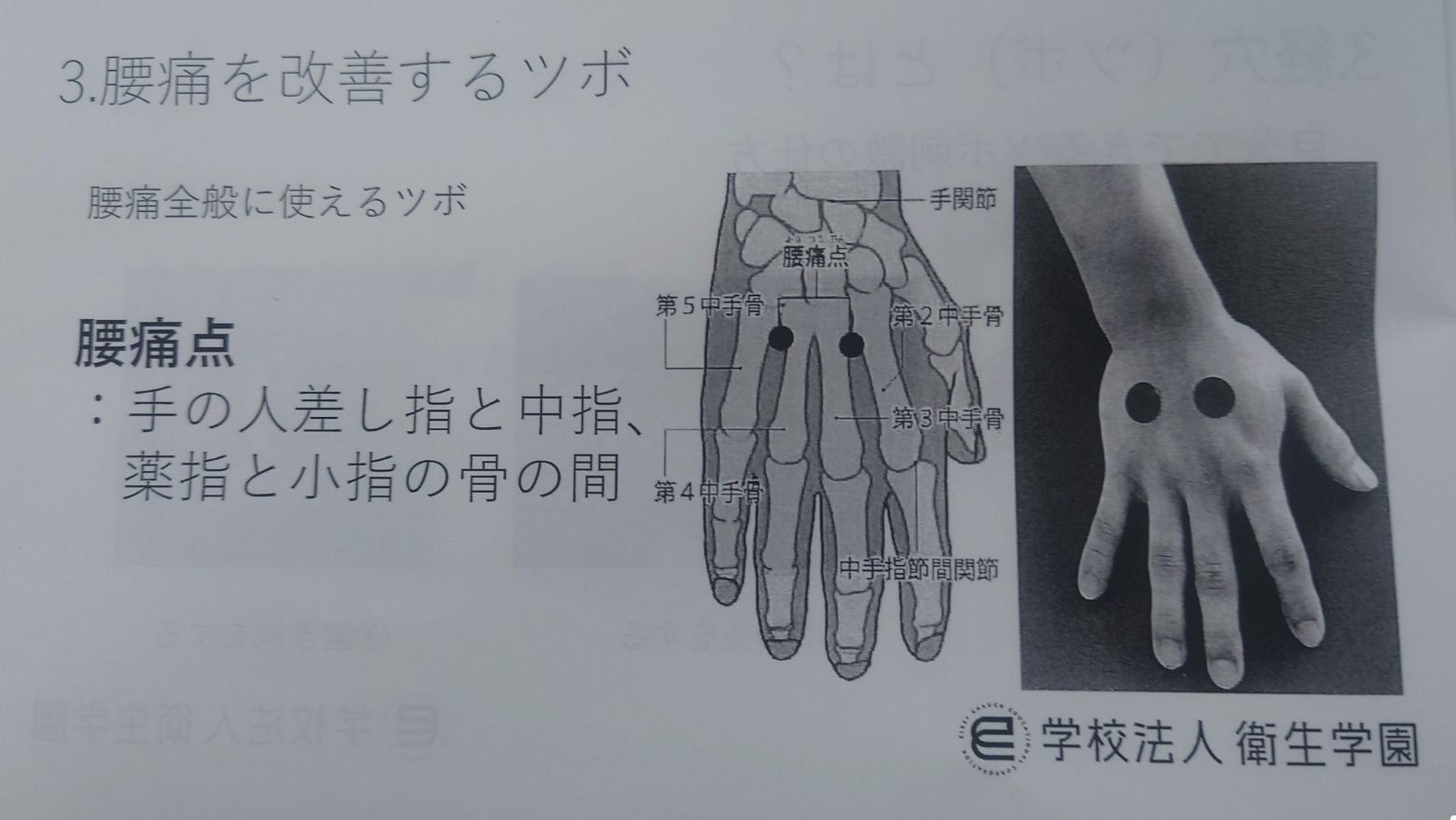 【勉強会参加報告】東京衛生学園「東洋医学健康講座」にて腰痛ケアを学びました